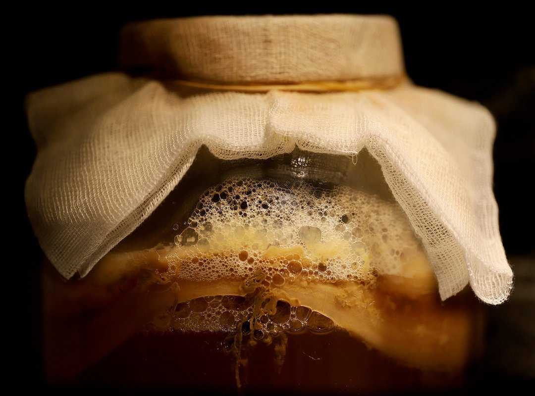cook with fermented foods